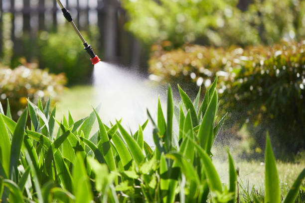 24/7 Emergency Wasp Removal experts in Oconto, WI